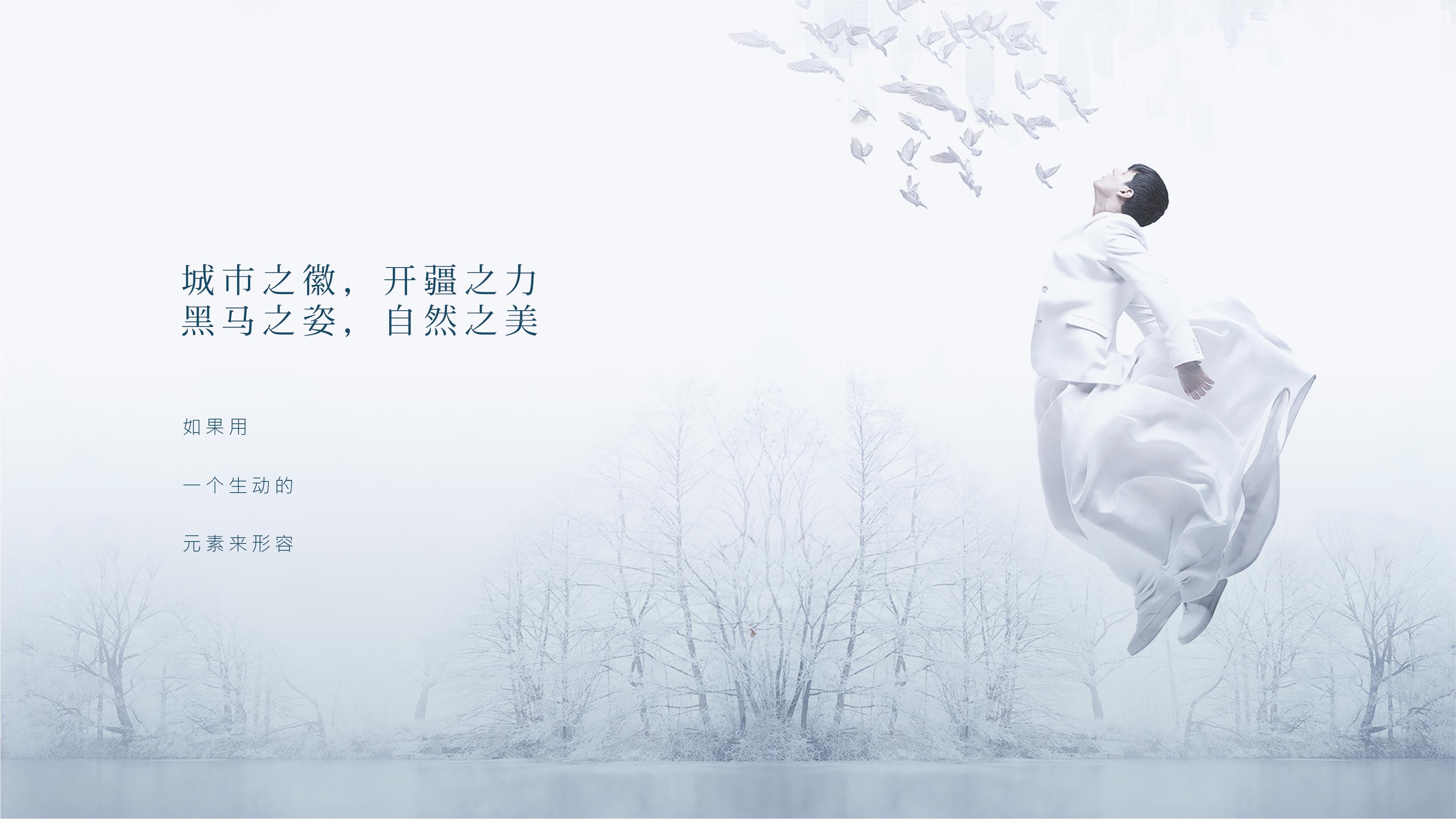 地产赏析总监稿提案白马-策划门