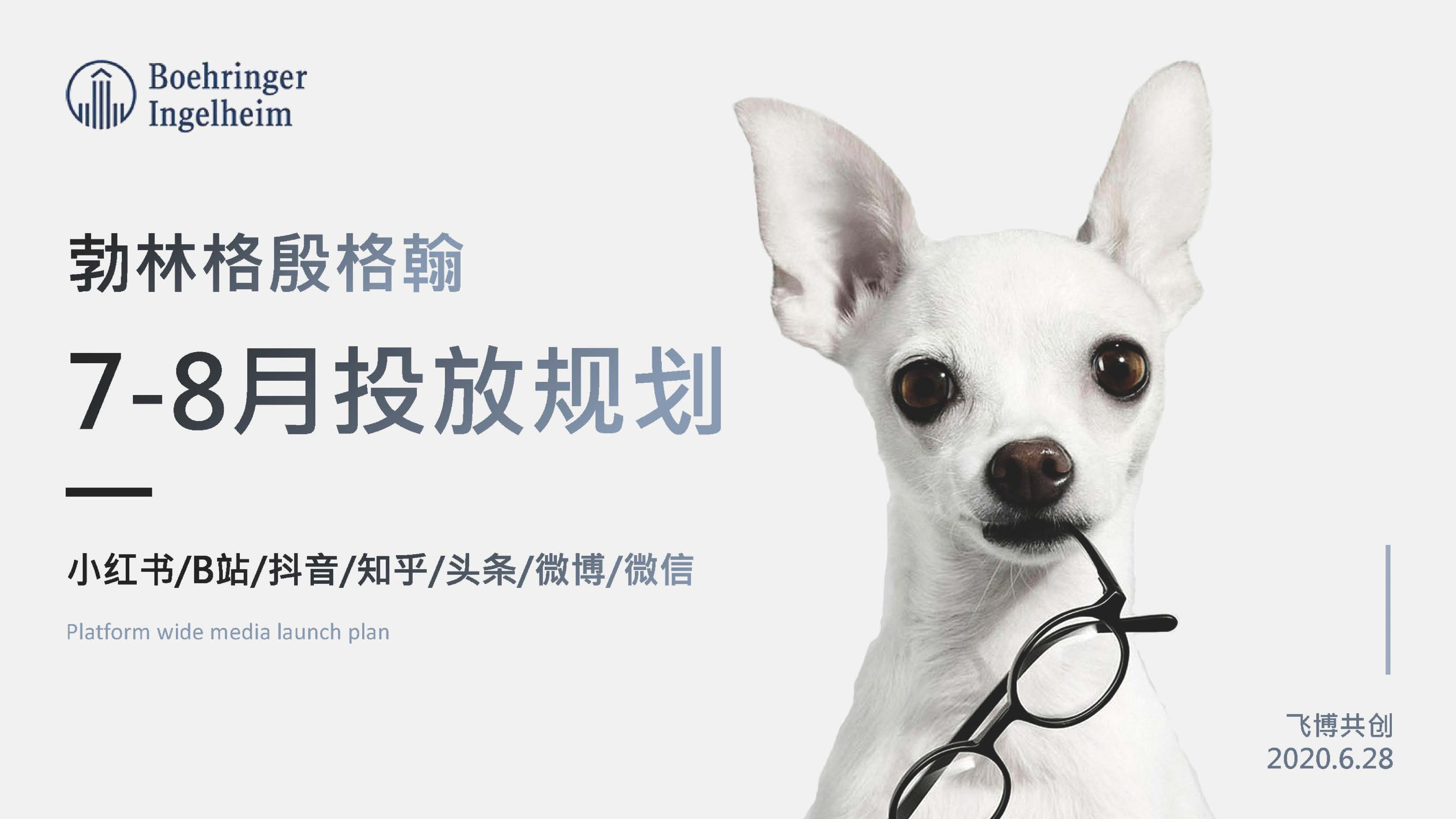 勃林格殷格翰宠物食品7-8月投放规划-策划门