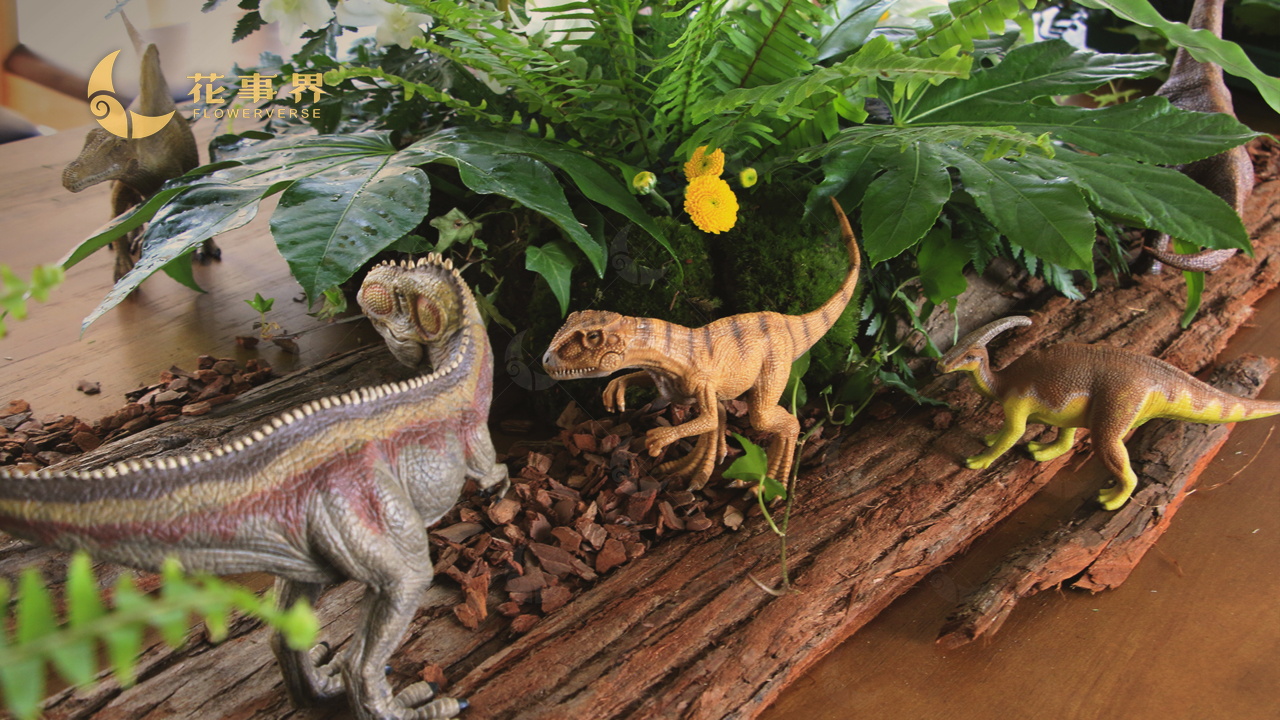 用蕨类植物,在桌面微缩还原亿万年前恐龙世界,让人恍然跌入异次元.