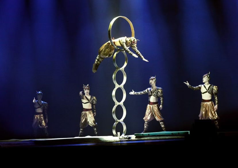 吴桥杂技马戏团|活动资源|黑猫会活动策划服务平台