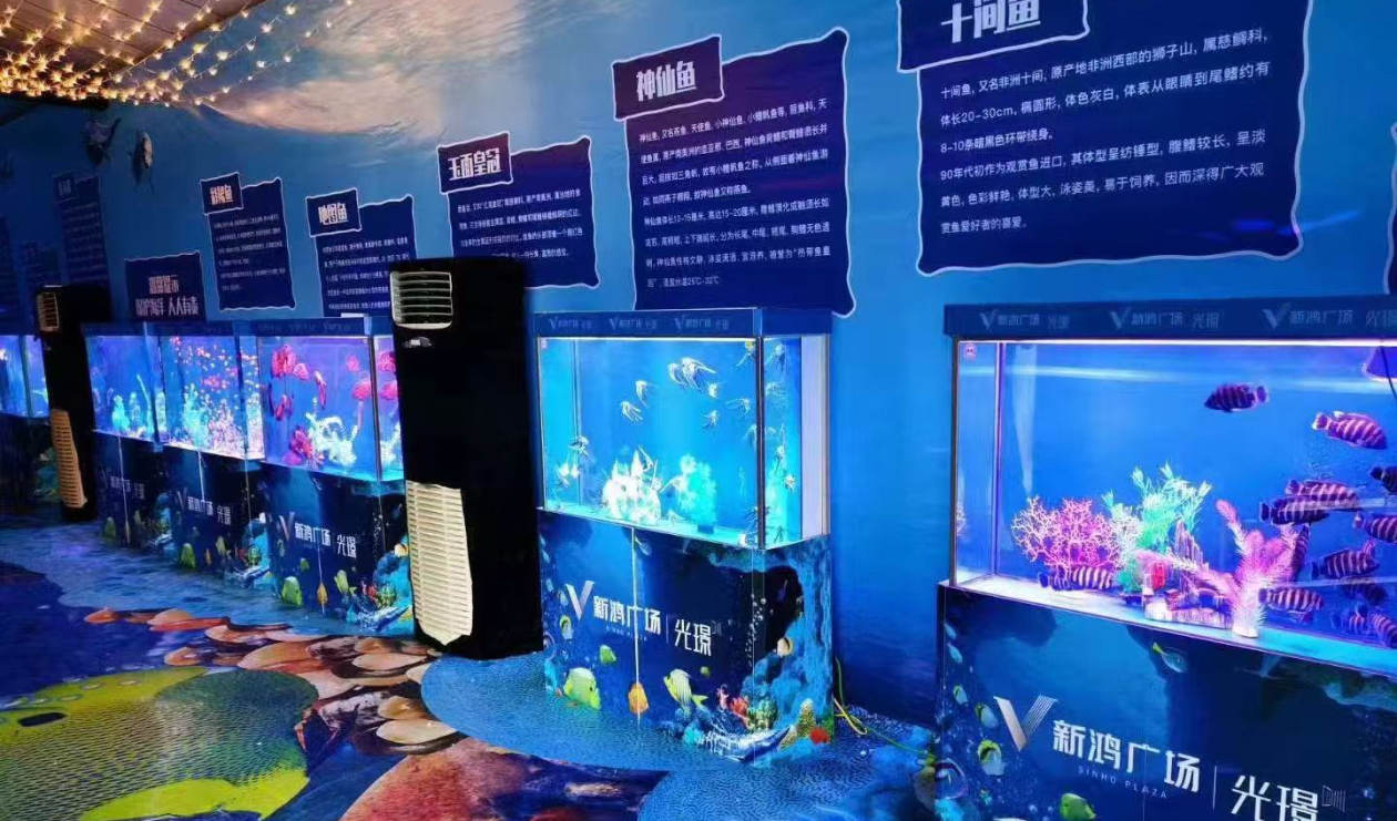 海洋展热带鱼展暑假活动商场活动