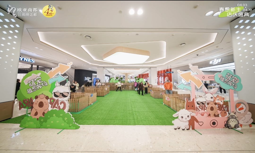 暑期国庆中秋萌宠展水豚