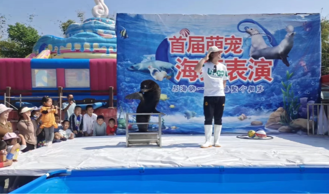 海狮表演秀租赁