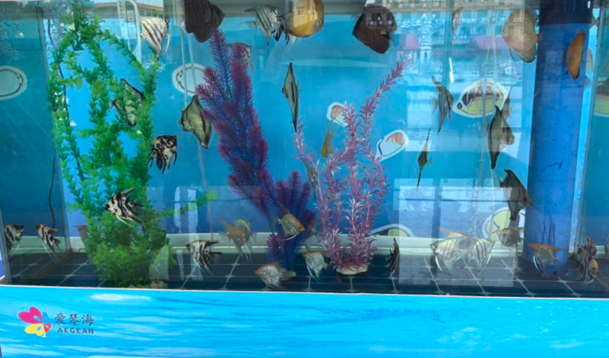 海洋展