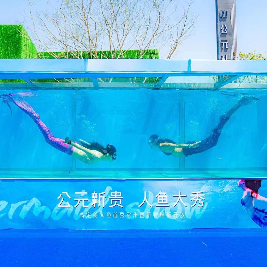 劲淞展示演绎