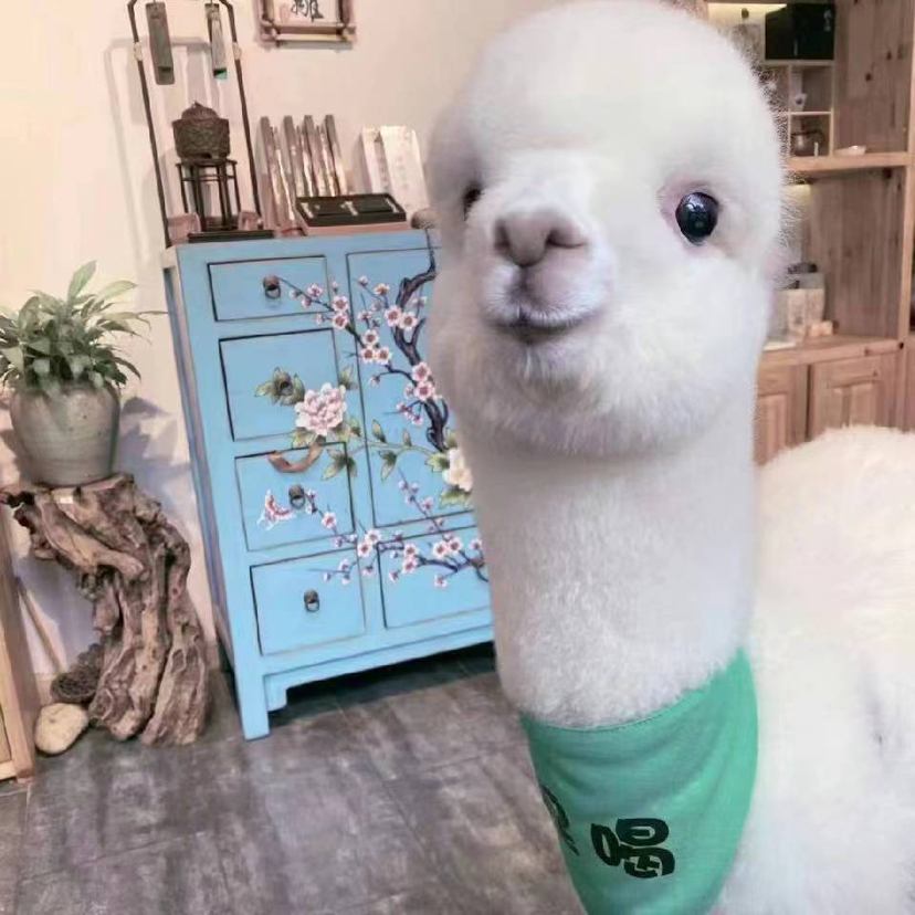 凯越文旅发展有限公司